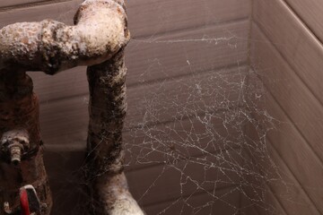 Cobweb near wall and rusty pipes of water supply indoors
