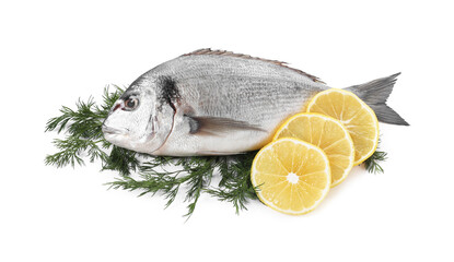 Raw dorado fish, dill and lemon slices isolated on white