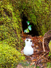 屋久島の冬の縄文杉トレッキングで見かけた雪だるま