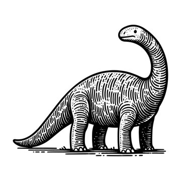 dinosaur barosaurus sketch