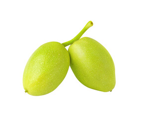 Two green walnuts hanging on a stem cut out, no background
