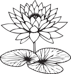 Flowers coloring pages, and book, Vector sketch of waterlily, Hand drawn waterlily, botanical leaf bud illustration engraved ink art style. waterlily sketch. vintage waterlily drawing