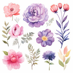 Set of watercolor flowers. Hand drawn vector illustration isolated on white background