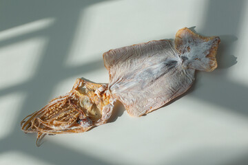 One dried squid on a white background
