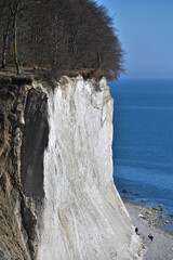 Famous white cliffs in Rugen