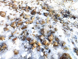 Texture of small stones with snow. Background of pebbles and ice. Abstract background, texture, pattern, frame, place for text and copy space