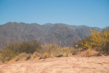 landscape in the mountains