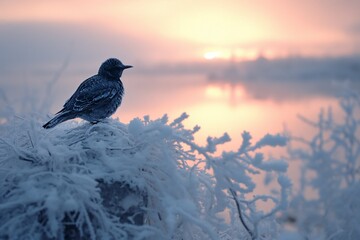 AI generated illustration of a blackbird perched on snowy shrubs - obrazy, fototapety, plakaty