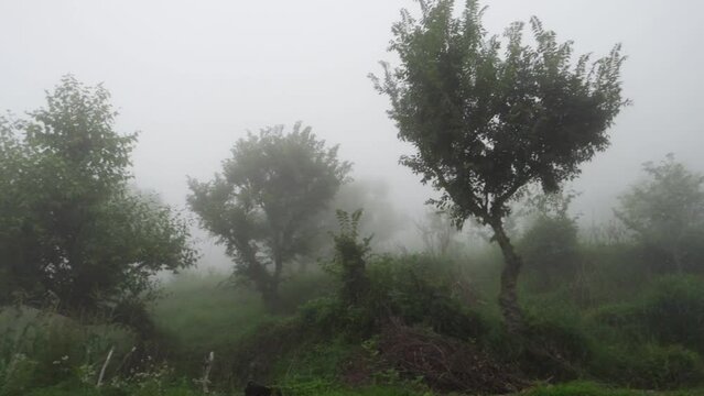 A himalayan hill top covered in fog or mist with barely visible trees and ground. Uttarakhand India