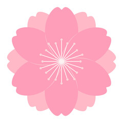 Sakura, cherry, plum, apricot, peach, apple blossom, flower, bloom, isolated. Floral design element, logo, icon. Flat style vector illustration. Spring promotion, seasonal sale, advertising