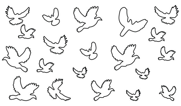 Bird flying silhouettes line Art icon set. Eagle, falcon, hawk, dove, swallow, raven, swift and others. Vector illustration.
