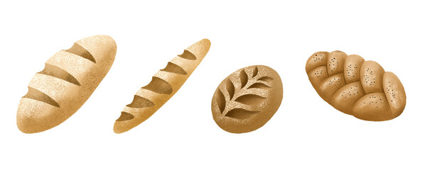 Set of fresh breads. Breads and pastry isolated clipart. Fresh rich freshly baked French bread. Loaf and baguette. Loaves of bread