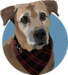 Brown mongrel in a red scarf, vector illustration of a dog