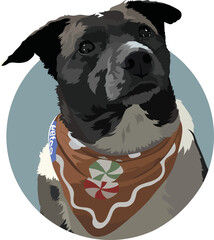 Black mongrel in a scarf, vector illustration of a dog
