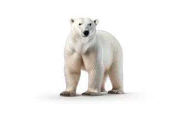 Foto op Canvas Polar Bear isolated on a white background © Johannes