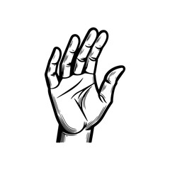 One line hand drawing