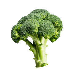 Fresh broccoli isolated on transparent background.
