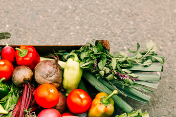 fresh vegetables on wooden table