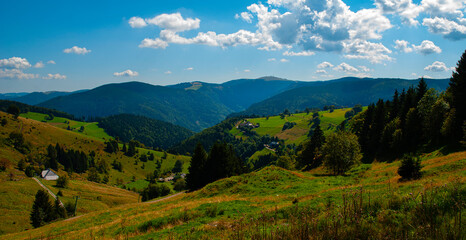 Landschaft Berge Schwarzwald - 711532212