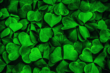 Fototapeta na wymiar Background with green clover leaves for Saint Patrick's day. Abstract pattern with a shamrock. Spingtime nature. Vintage film aesthetic.