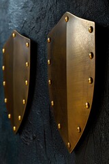 Metal shields mounted to a wall. Can be used for decorative purposes or as a display of strength and protection
