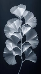 A black and white photo of a leaf. Monochromatic x-ray image on dark background