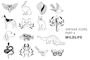 Vintage style hand drawn wildlife elements collection: cat, dog, rabbit, bird. Linear icons for logo, brand design, pet shop. Bohemian line art animals and insects elements. Elegant outline vector set