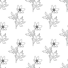 Vintage hand drawn seamless pattern with flowers. Black and white linear floral texture. Bohemian line art botany elements. Elegant outline spring or summer vector surface for textile, fabric, paper - 711535845