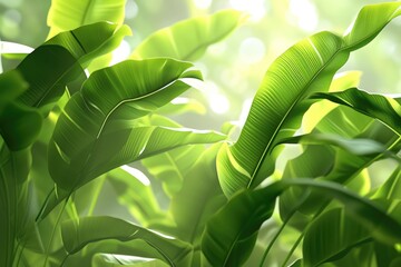 green ribbed plantain  plant  beautiful floral background  3d render - obrazy, fototapety, plakaty