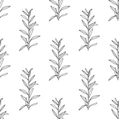 Vintage hand drawn seamless pattern with plants. Black and white linear floral texture. Bohemian line art botany elements. Elegant outline spring or summer vector surface for textile, fabric, paper - 711536051