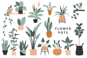 Set of cute colorful hand drawn flower pots. Flat style, simple doodle home plants. Botany hand drawn illustrations of gardening. Urban jungle concept. Spring time. Natural trendy home decor - 711536233