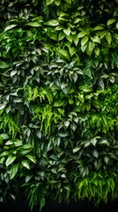 Fototapeta na wymiar Vertical gardening, wall of greenery, biophilic design, connecting nature and people, eco friendly green nature design landscape in building