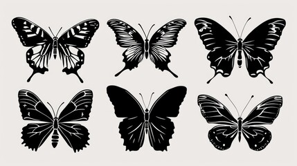 A collection of six black and white butterflies. Perfect for nature enthusiasts or for adding a touch of elegance to any project