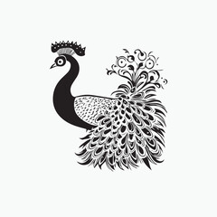 hand drawn illustration of a peacock vector