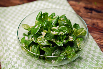 ackersalat vogerlsalat