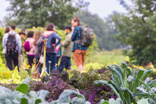 Open day and guided tour in Urban community garden Het Lichtveen in Bennekom Gelderland province in The Netherlands