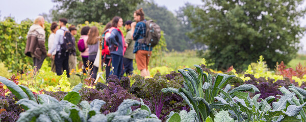 Open day and guided tour in Urban community garden Het Lichtveen in Bennekom Gelderland province in The Netherlands