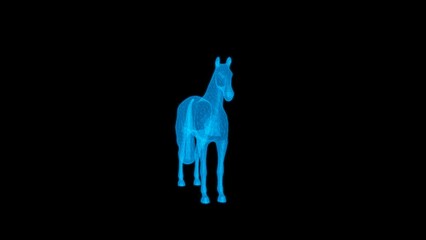 4k horse technology video, horse wireframe video, horse blueprint video, horse 360 turn - Powered by Adobe