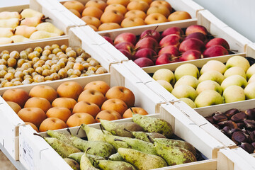Différentes variétés de pomme en vente sur un étal de marché bio