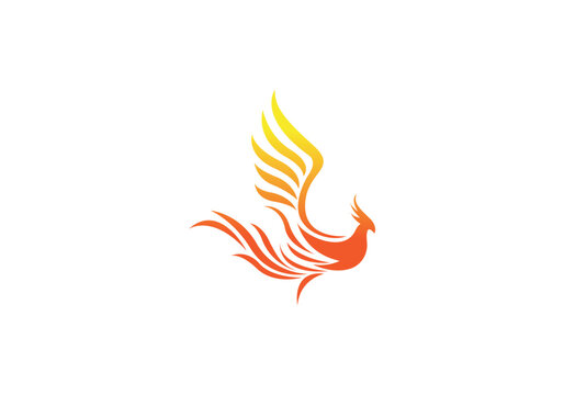 phoenix bird vector icon logo illustration white background