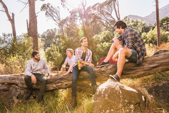 Freunde beim Campingtrip im Wald sitzen auf Baum,, Kapstadt, S&uuml;dafrika