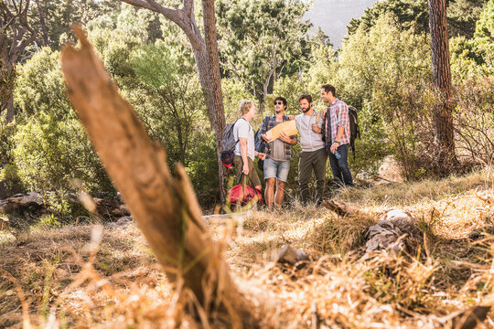 Freunde beim Campingtrip im Wald, Kapstadt, S&uuml;dafrika