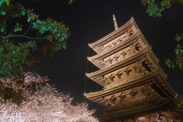 Obraz premium 京都 ライトアップされた東寺の夜桜