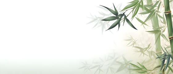 bamboo background with grass