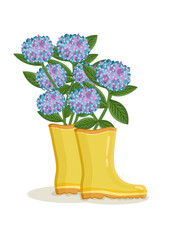 Bouquet of hydrangea flowers rain boots. Spring composition for women's day, mother's day, easter and other holidays. Spring floral design isolated vector illustration.