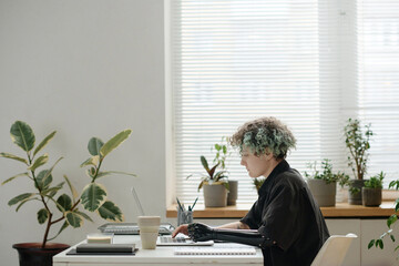 Young caucasian girl working on laptop sitting at her workplace in light office with potted plants