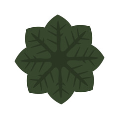 Dark green leaves in a symmetrical circle digital 2D illustration. Isolated floral boquet element for decoration.