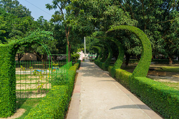 An alley in the park with decoratively trimmed bushes.