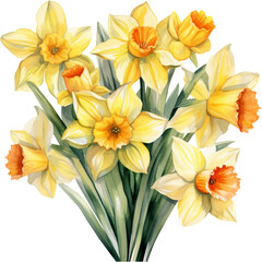 Fototapeta na wymiar 투명한 배경 위에 노란색 꽃다발