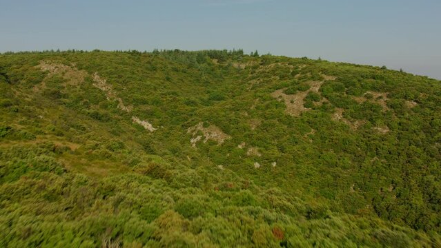 vue a&eacute;rienne drone de la For&ecirc;t des c&egrave;dres du Luberon